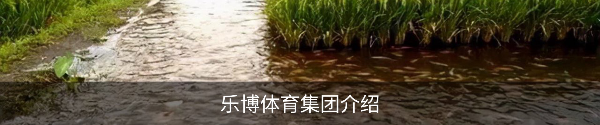 乐博体育集团介绍
